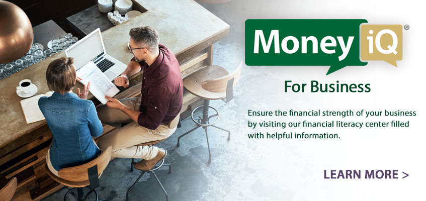 Desktop MoneyIQ for Business