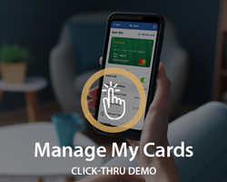 Manage My Cards Click-Thru Demo (Desktop)
